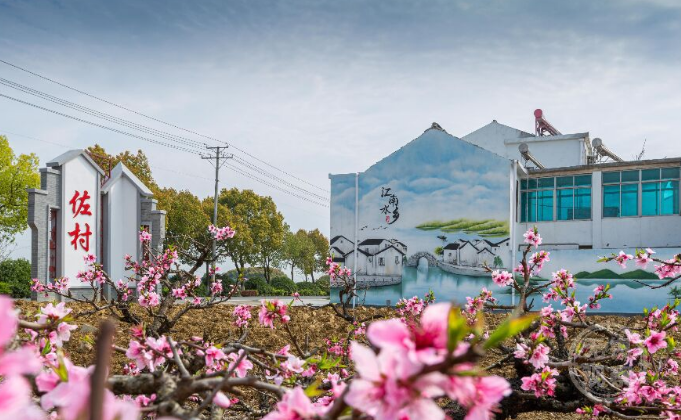 詩意鄉村“錫”居地這樣建！無錫農村人居環境整治省內率先