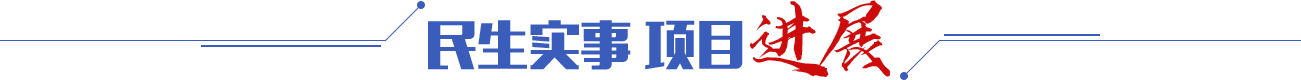 民生實事 項目進展